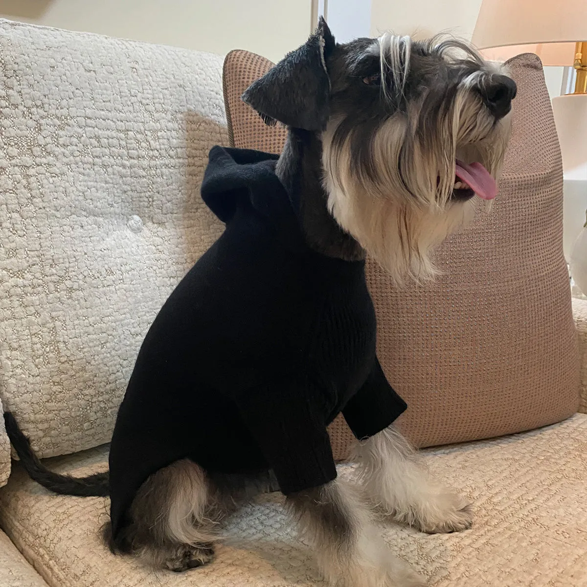 Dog Hoodie Cashmere Black with YY logo
