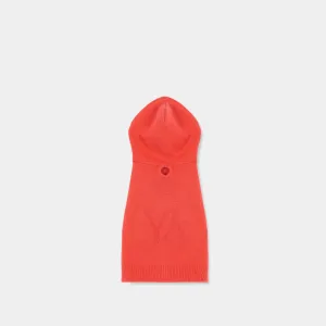 Dog Hoodie Cashmere orange with YY logo