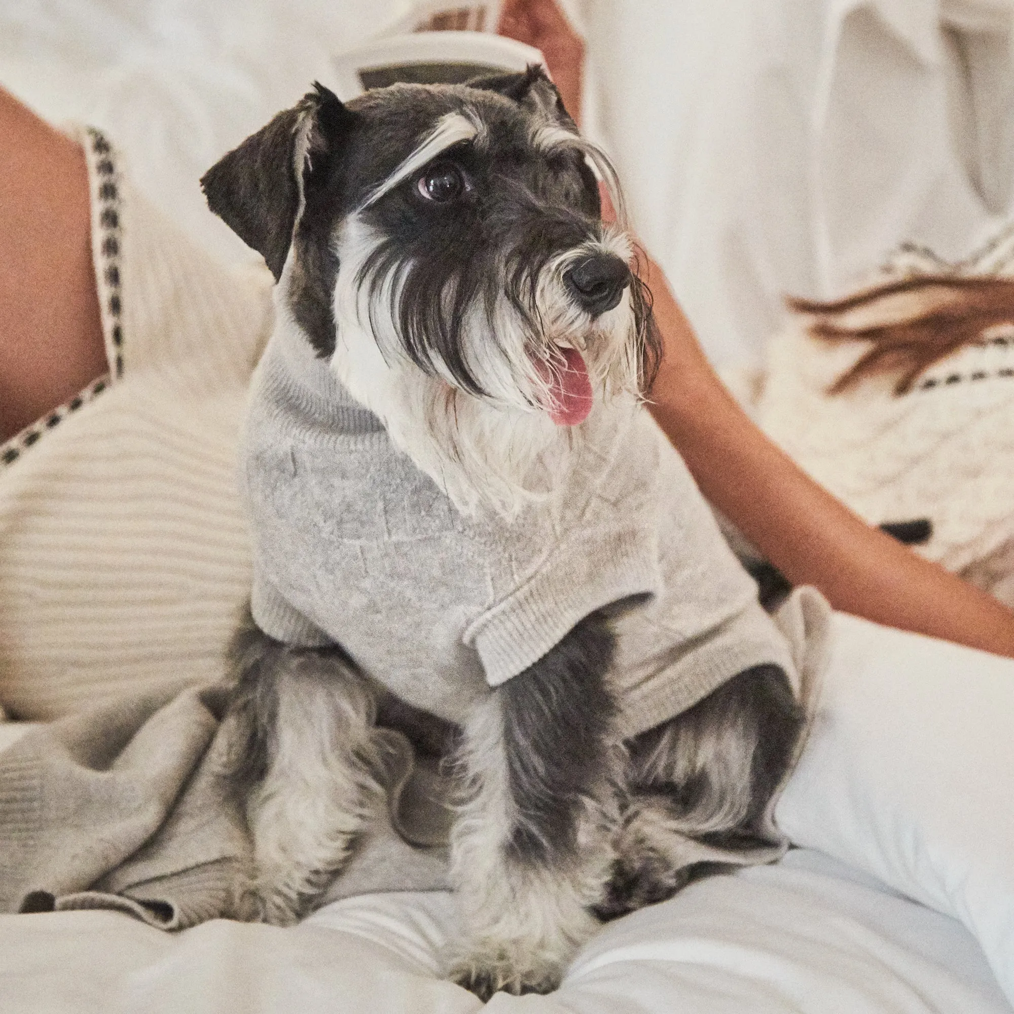 Dog Sweater Cashmere Light Grey YY Logomania