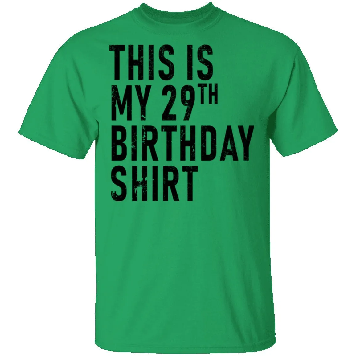 This Is My 29th Birthday Shirt T-Shirt