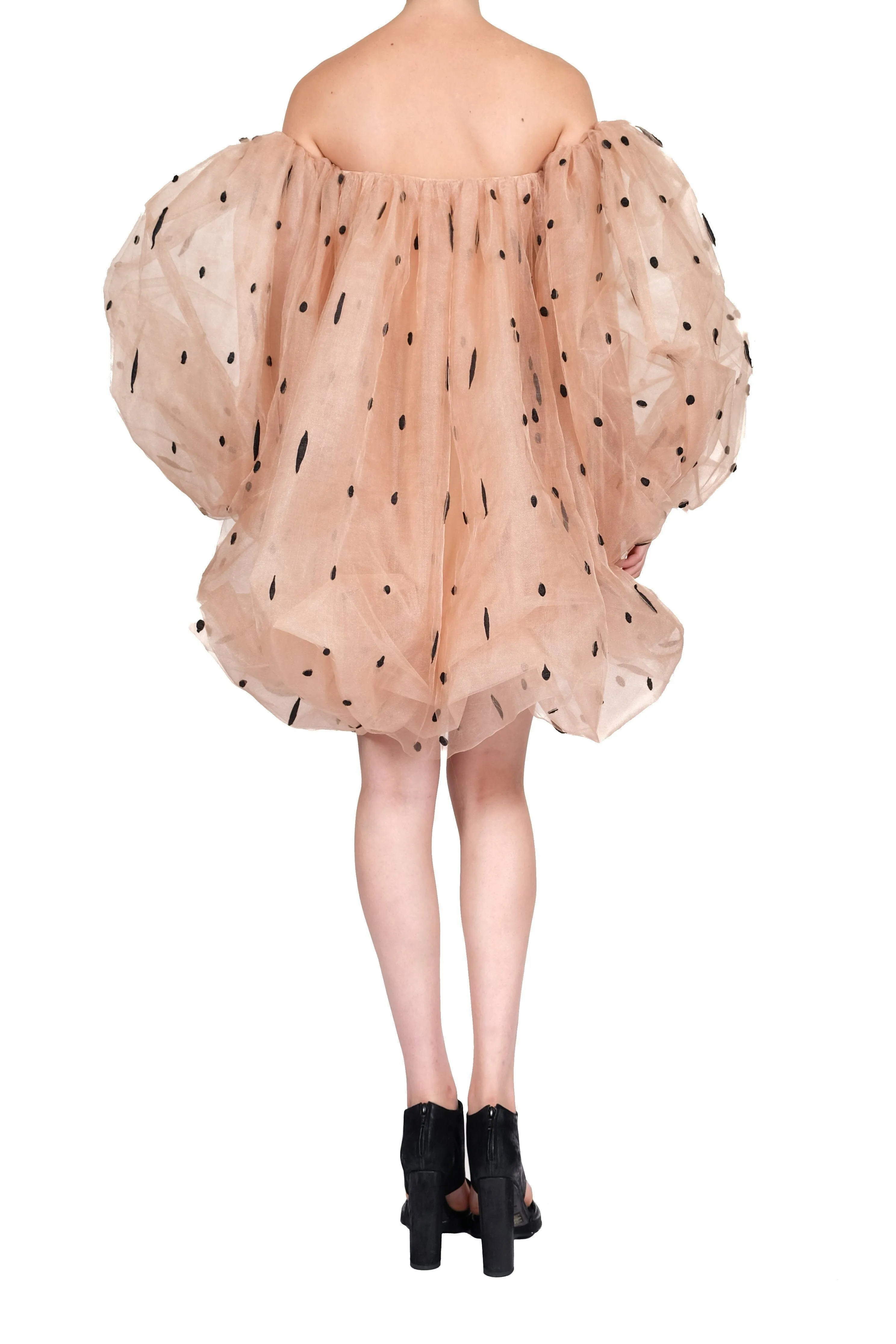 Transparent Silk Mini Dress