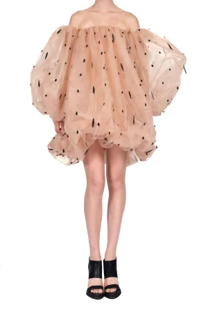 Transparent Silk Mini Dress