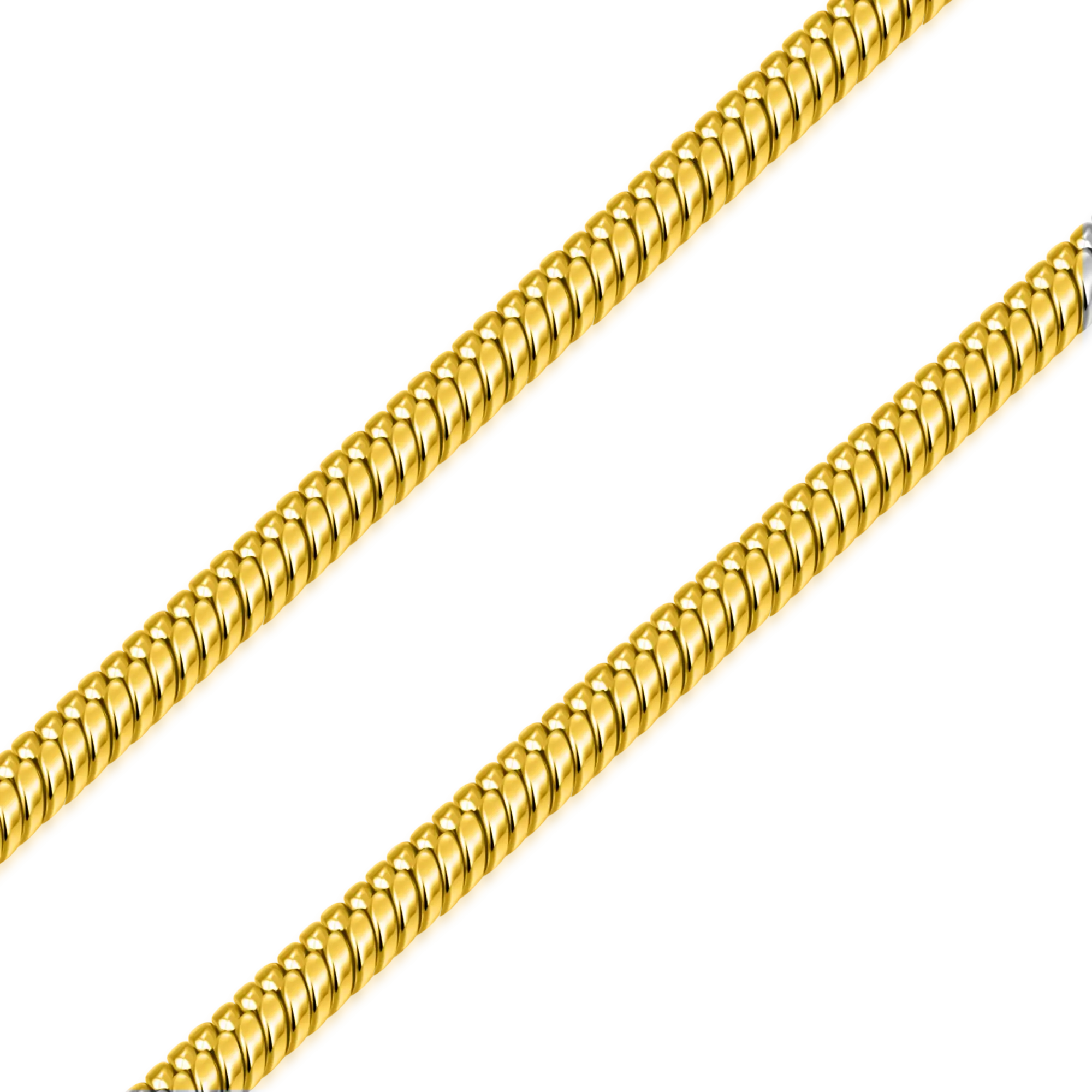 Women's Snake Chain