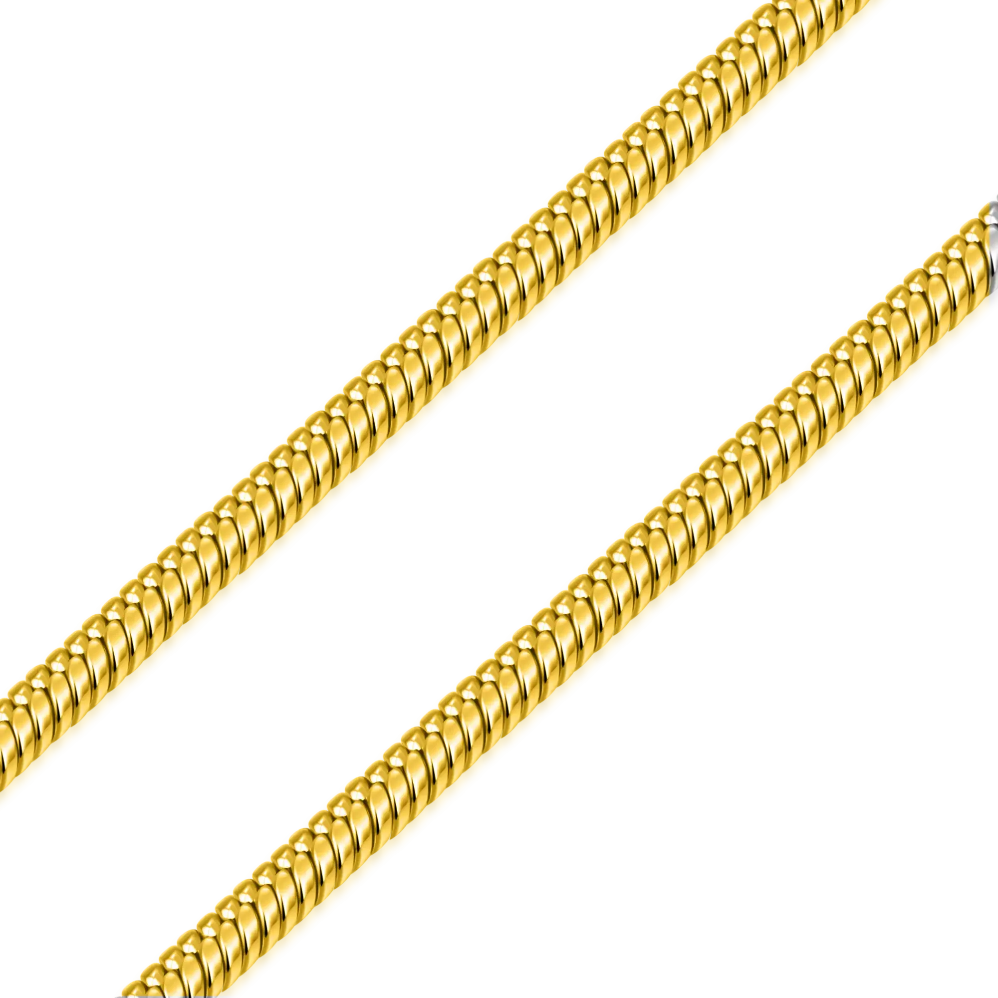 Women's Snake Chain