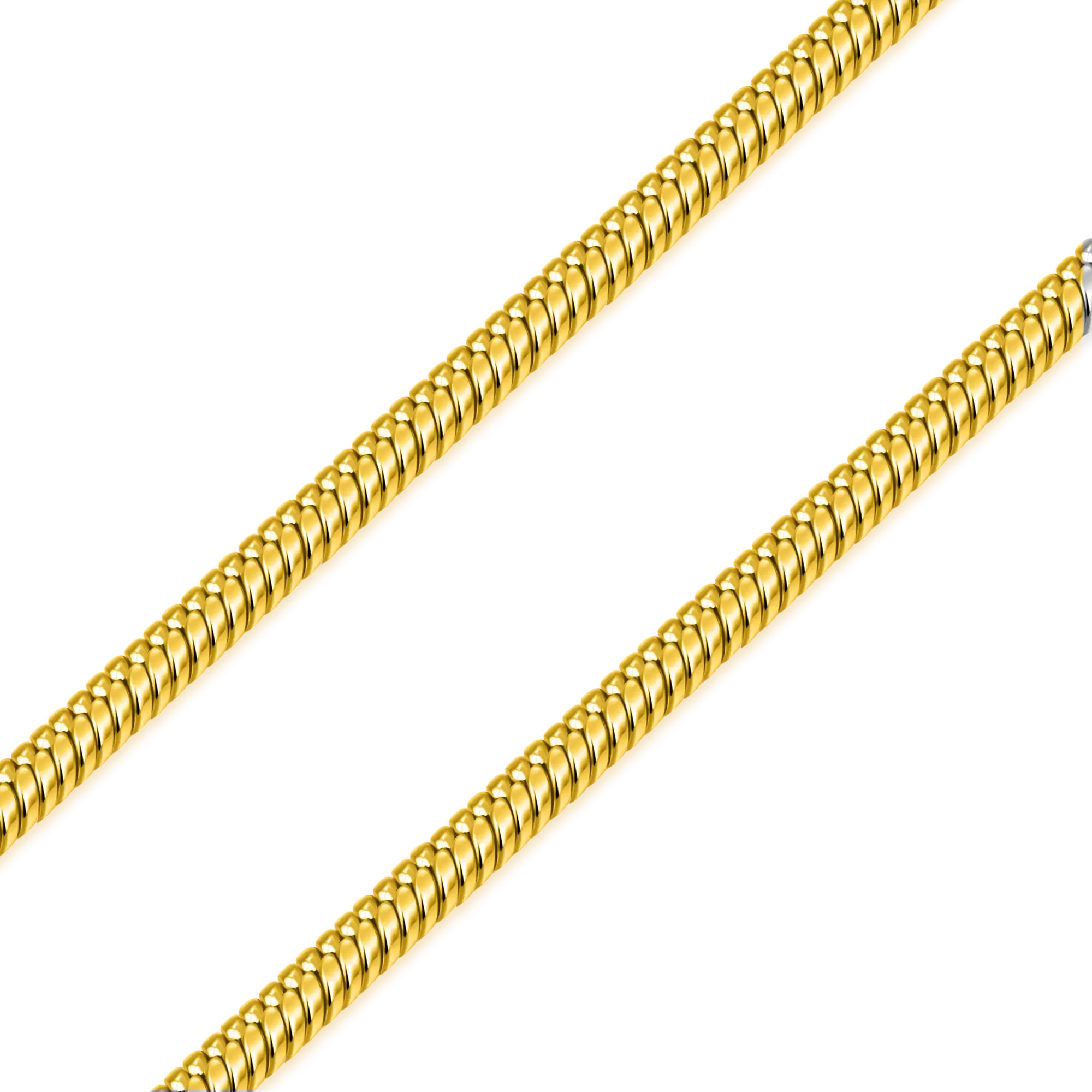 Women's Snake Chain